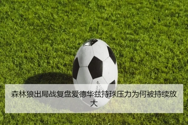 森林狼出局战复盘爱德华兹持球压力为何被持续放大